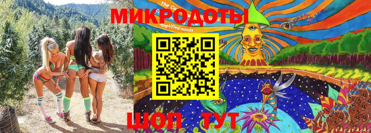 Галлюциногенные грибы Psilocybe Арзамас